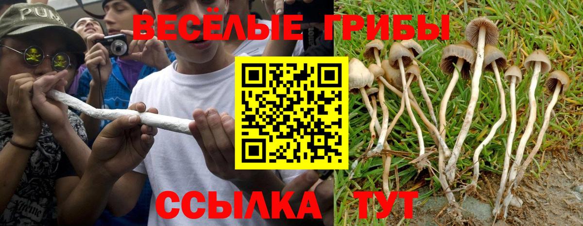 Псилоцибиновые грибы Cubensis  купить наркотик  Донецк  Вход с VPN 