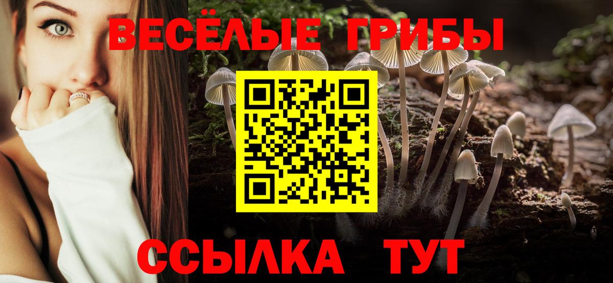 Псилоцибиновые грибы MAGIC MUSHROOMS Донецк